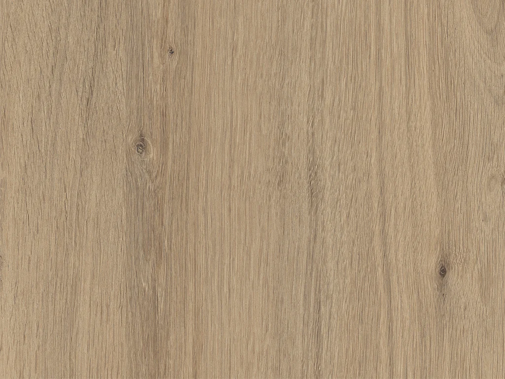 1964-d001