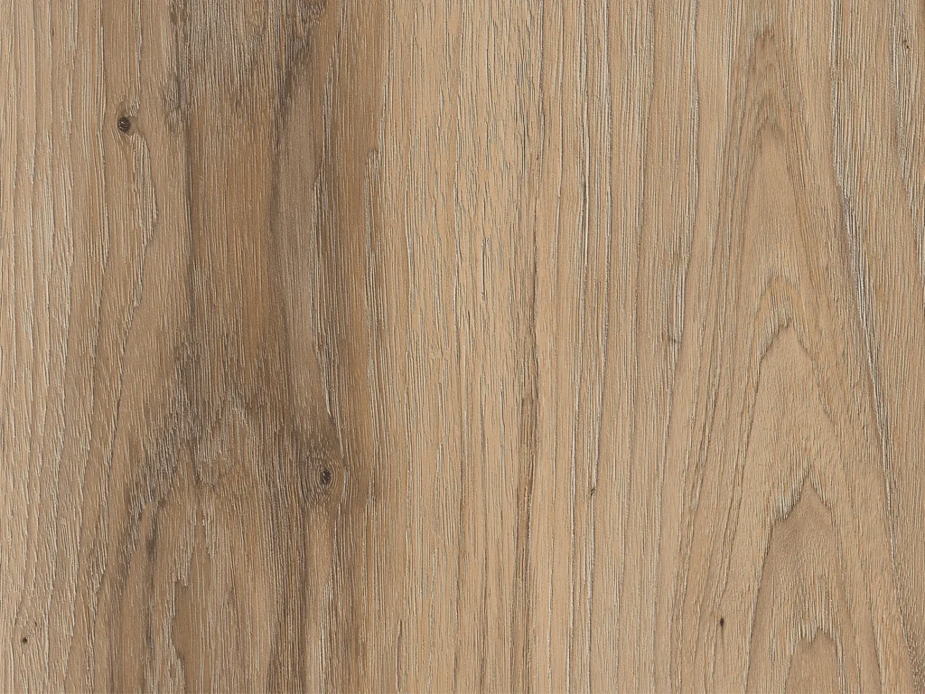 1975-d009