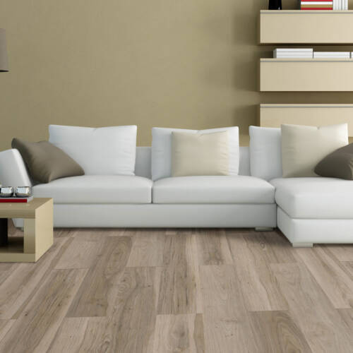 1975 – ESMERALDA HIKORY