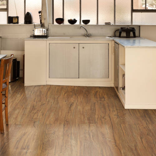 2005 – TITANIC OAK