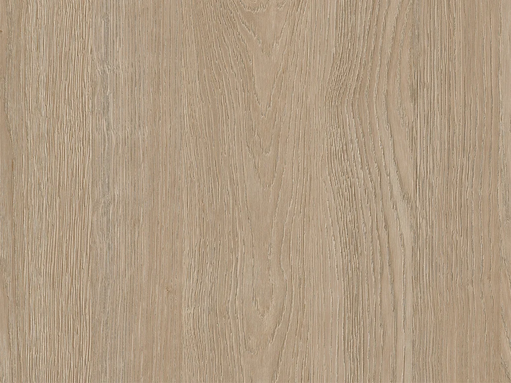2007-d004