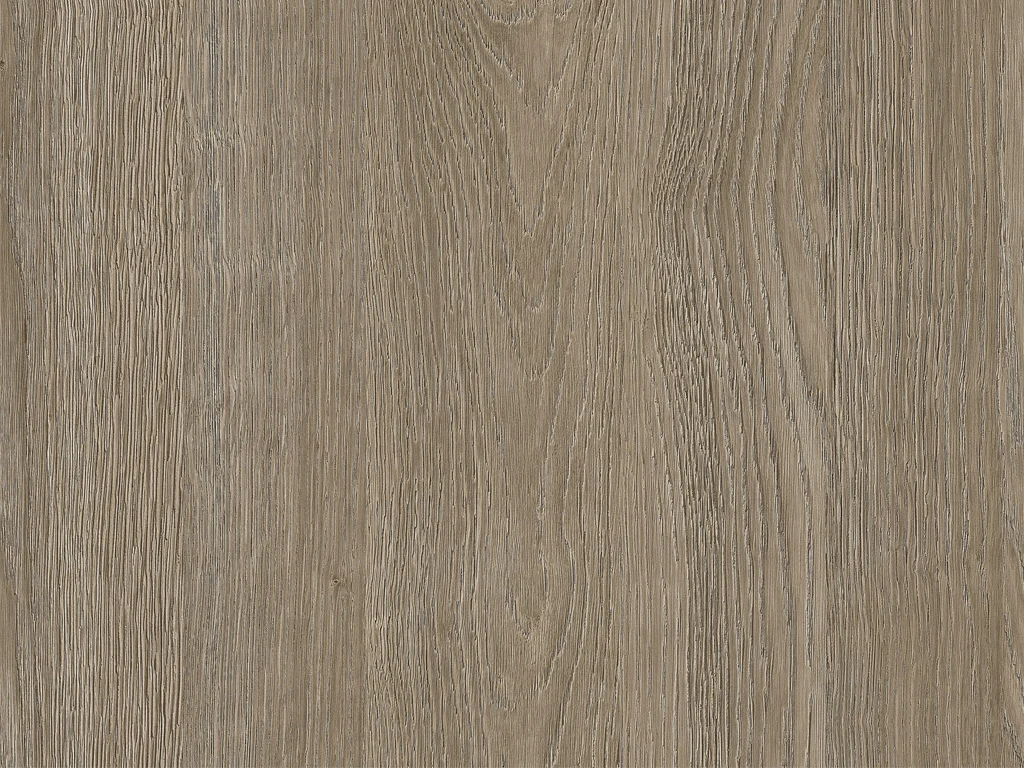 2007-d005