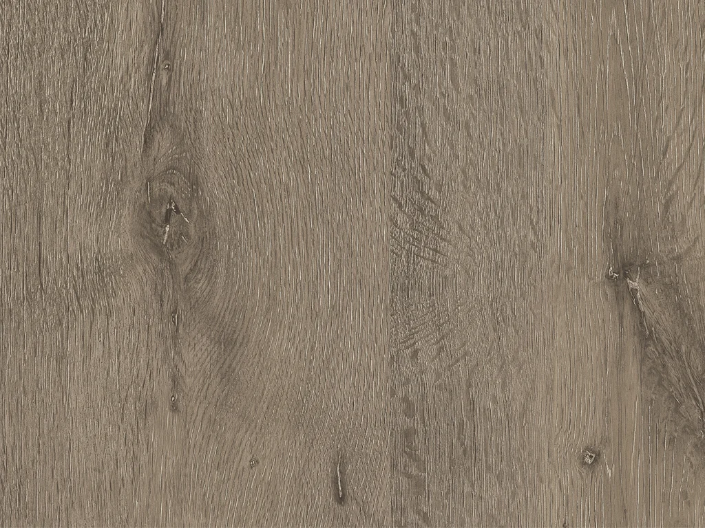 2011-d006