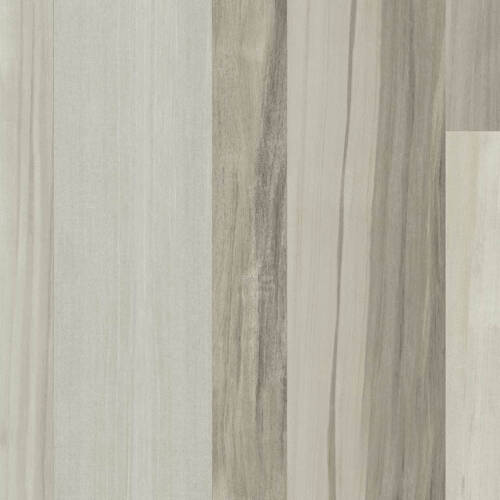 2019 – POPLAR