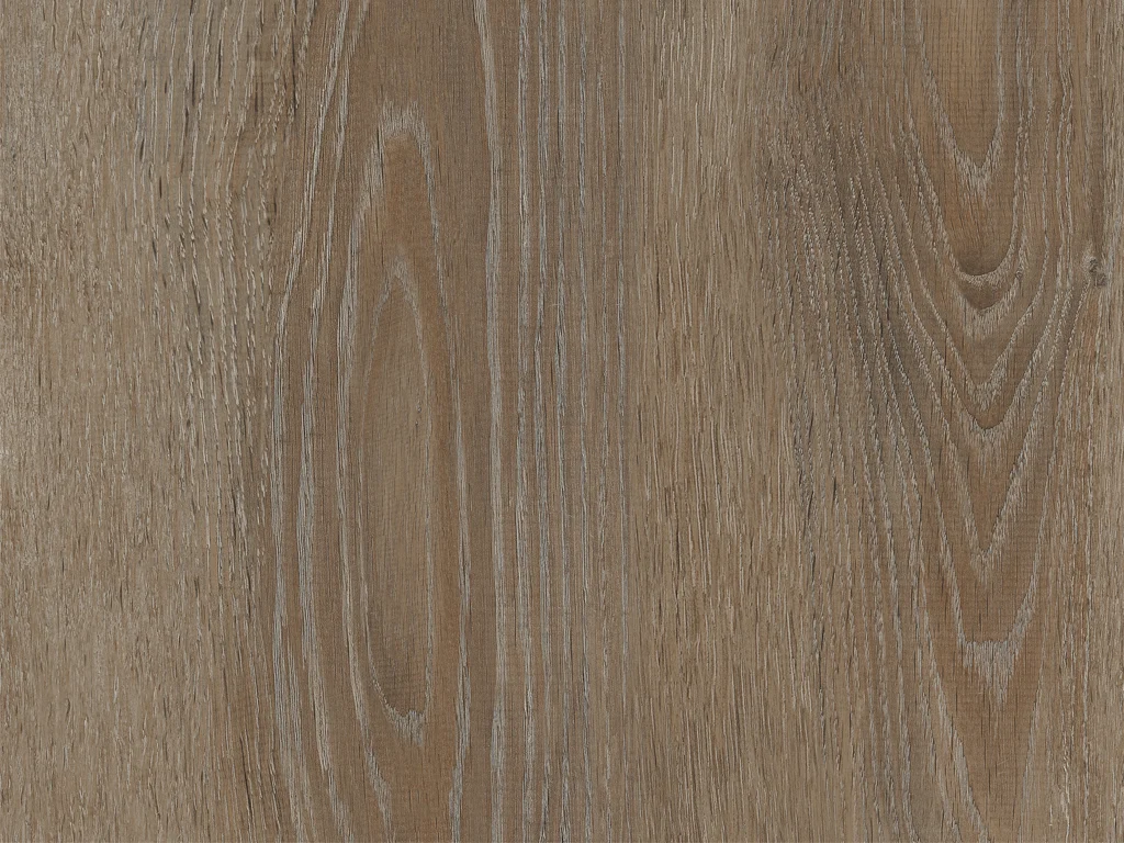 2025-d002