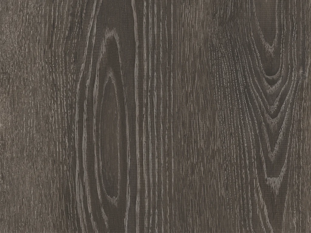 2025-d007