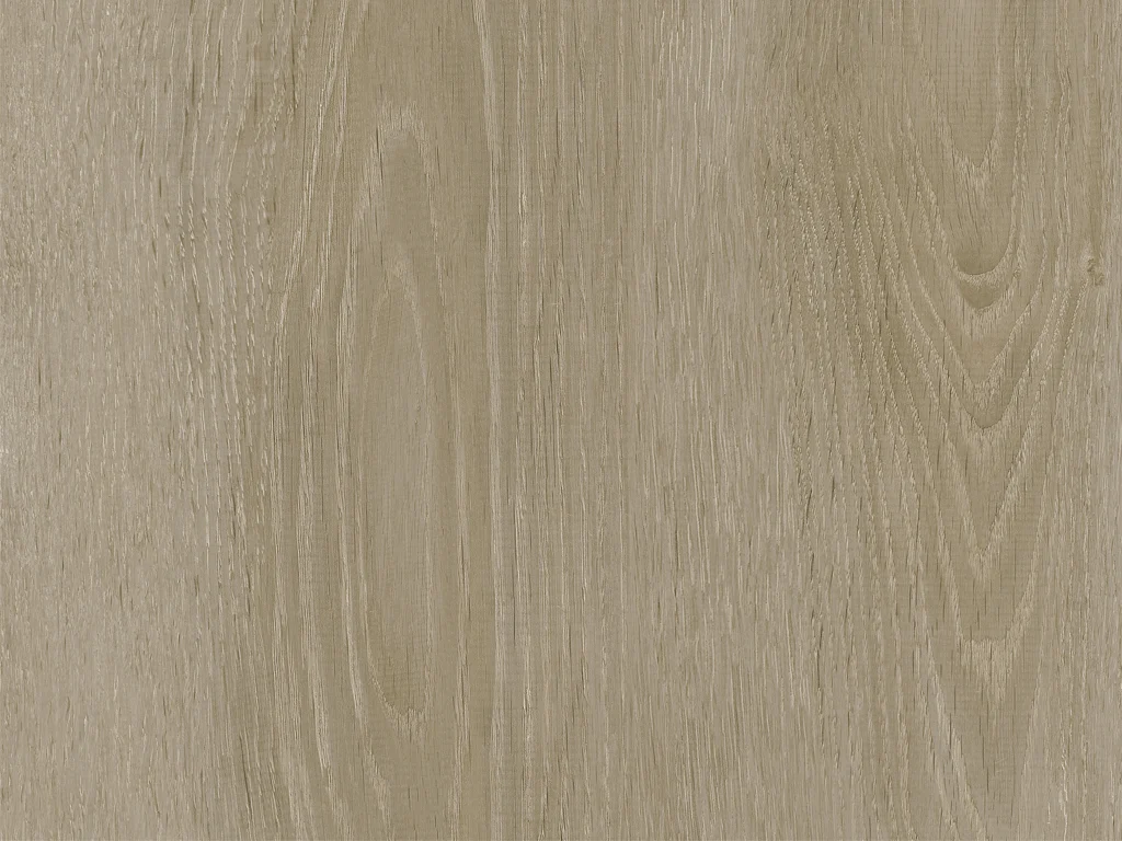 2025-d009