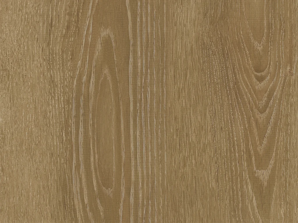 2025-d011