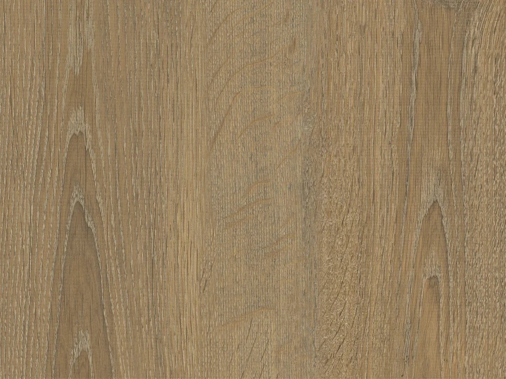 2036-d002