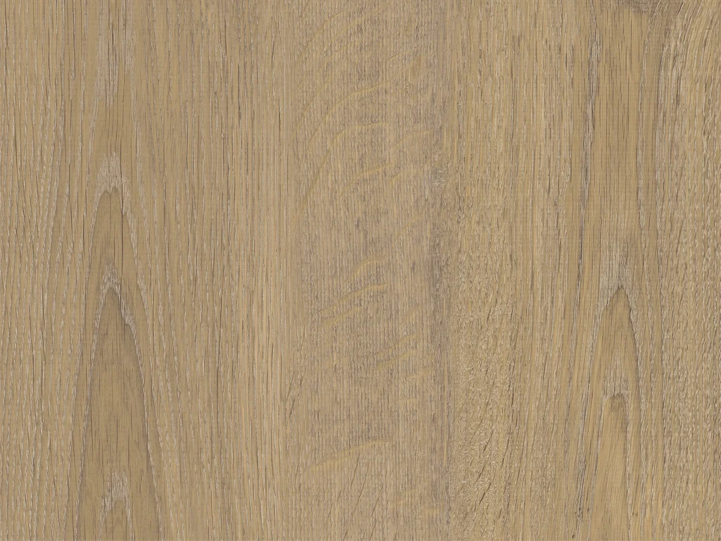 2036-d004