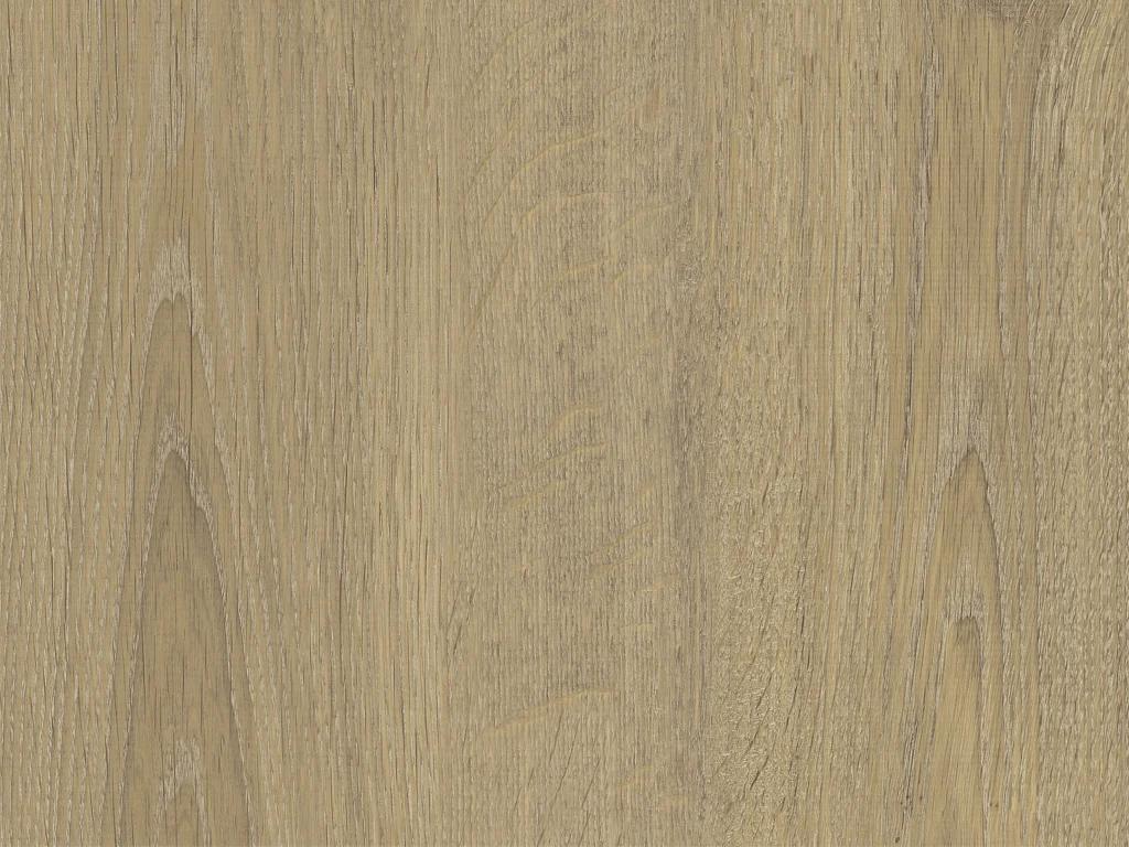 2036-d012