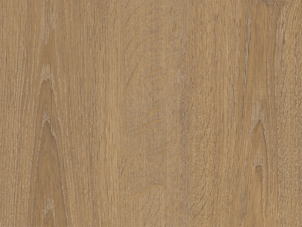 2036-d013