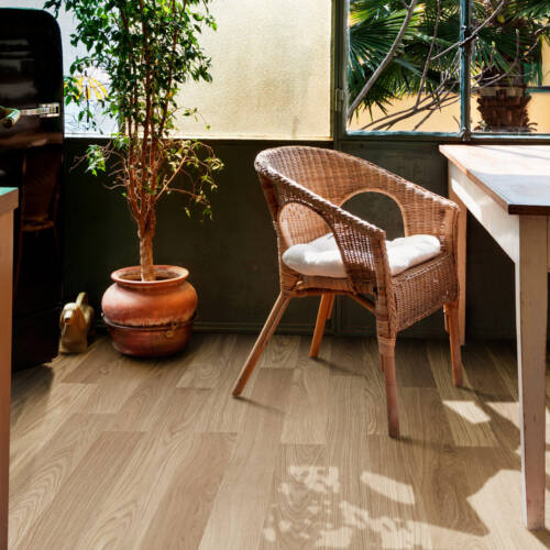 2038 – SALAMANCA OAK