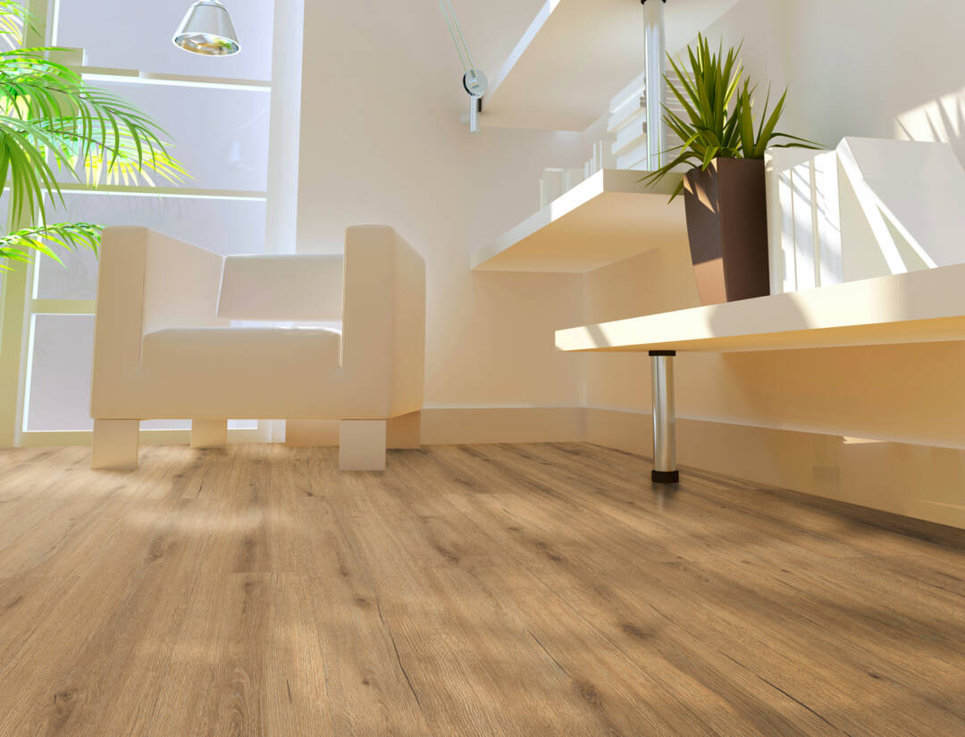 2052 – COMPOSTELA OAK