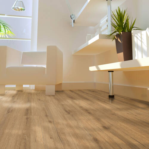 2052 – COMPOSTELA OAK
