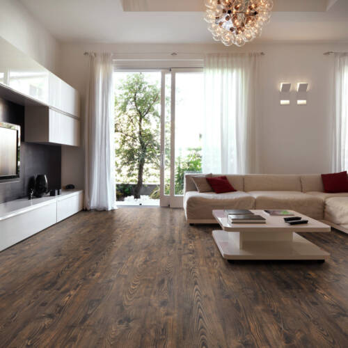 2053 – MOLDAVIA CHESTNUT