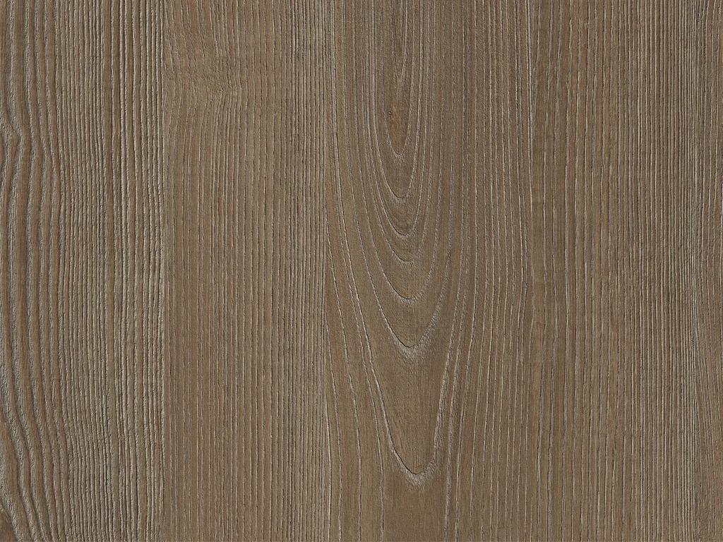 2081-d004