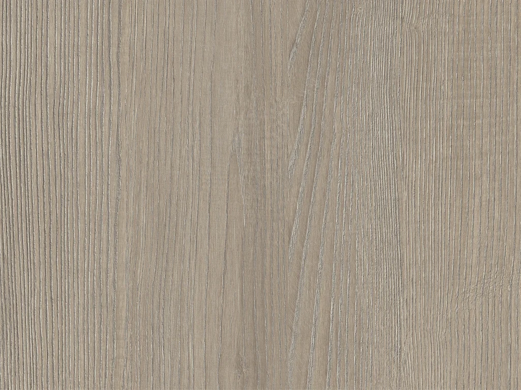 2081-d013