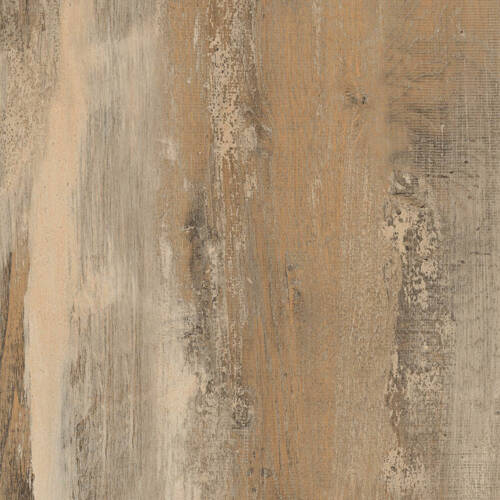 2103 – ICELAND OAK