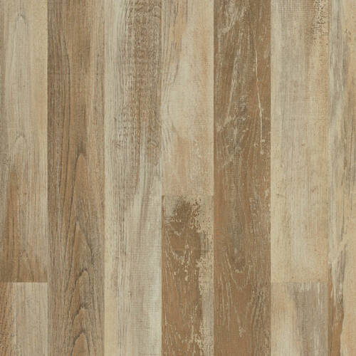 2106 – BOREAL OAK