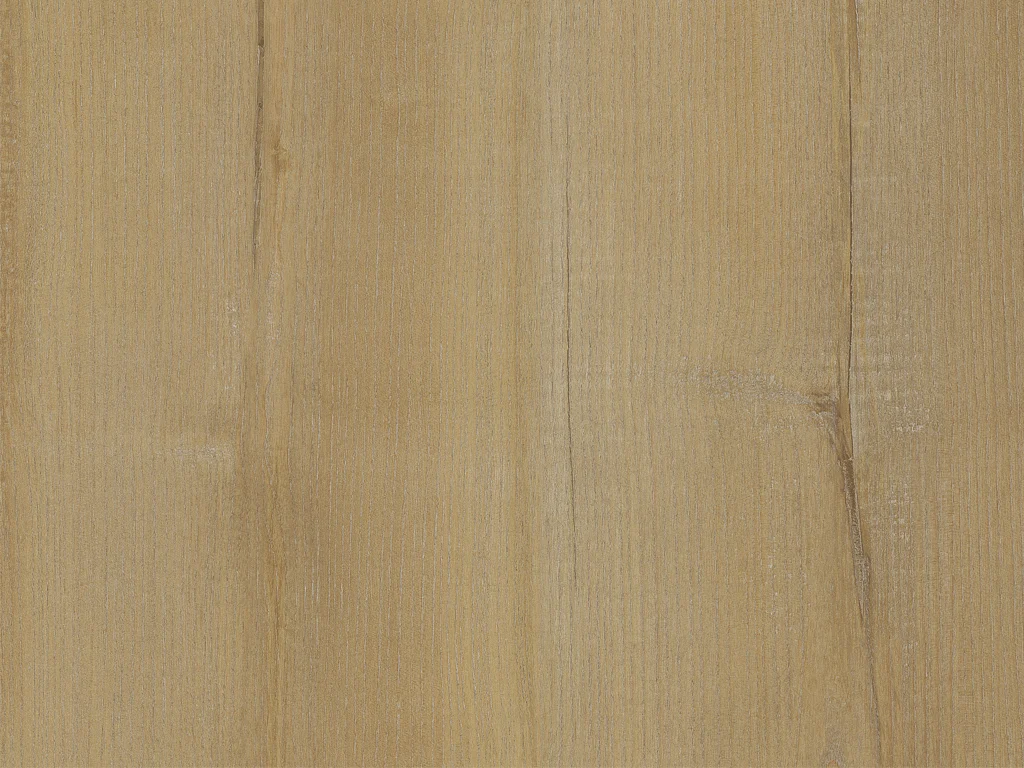 2113-s010