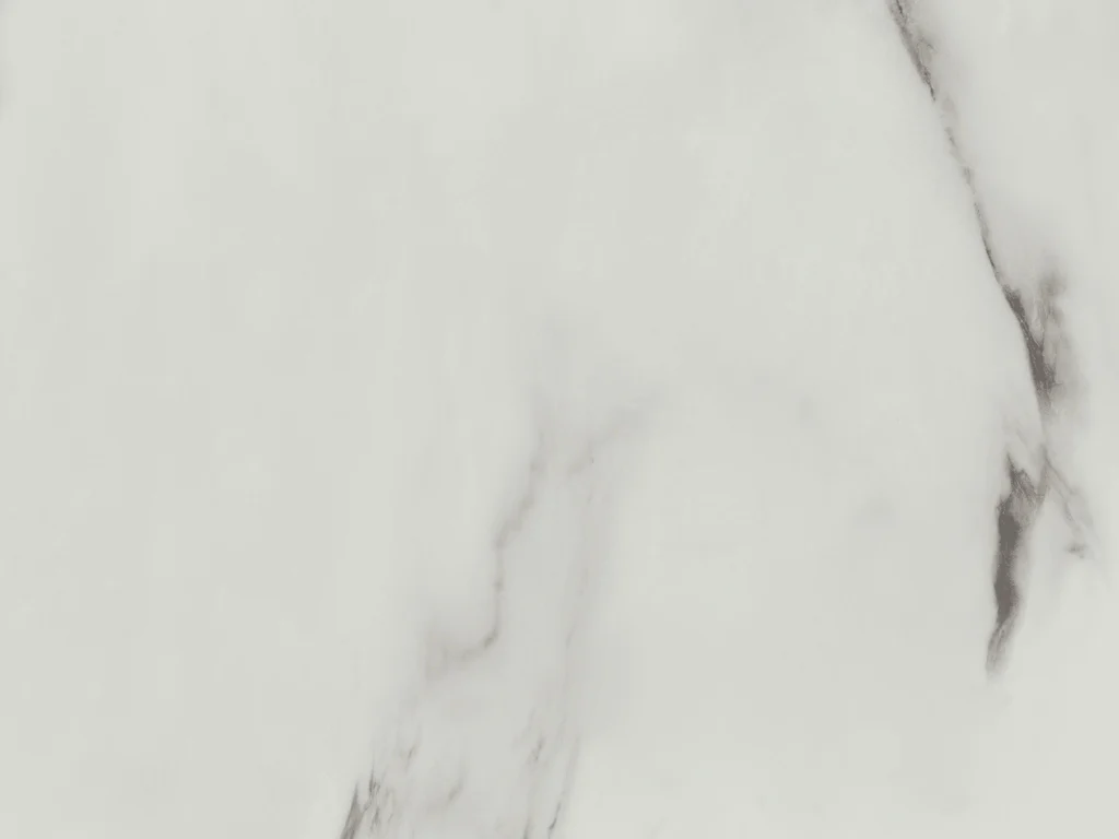 2154-d001