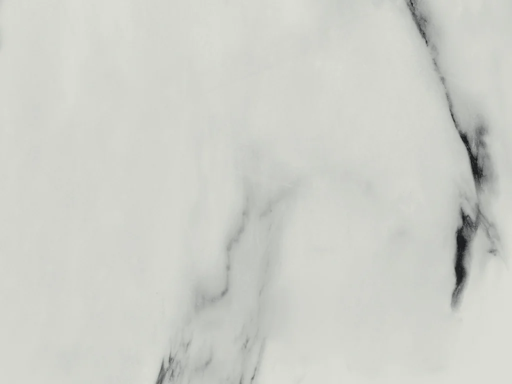 2154-d003