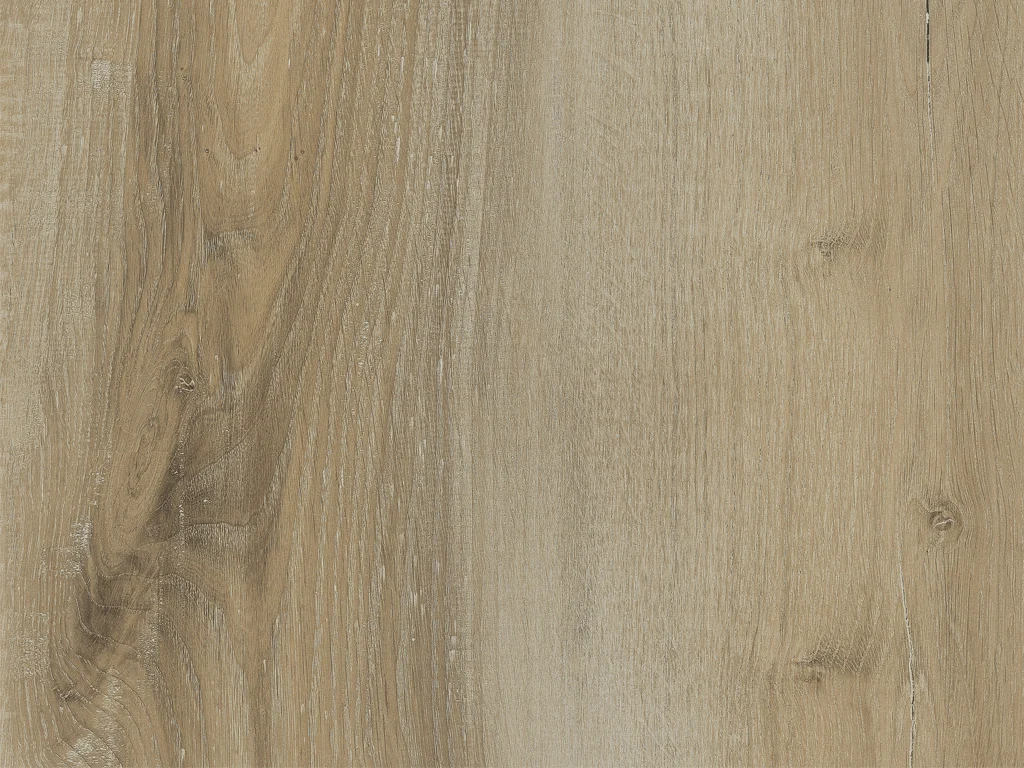 2155-d009