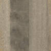 2156-d004