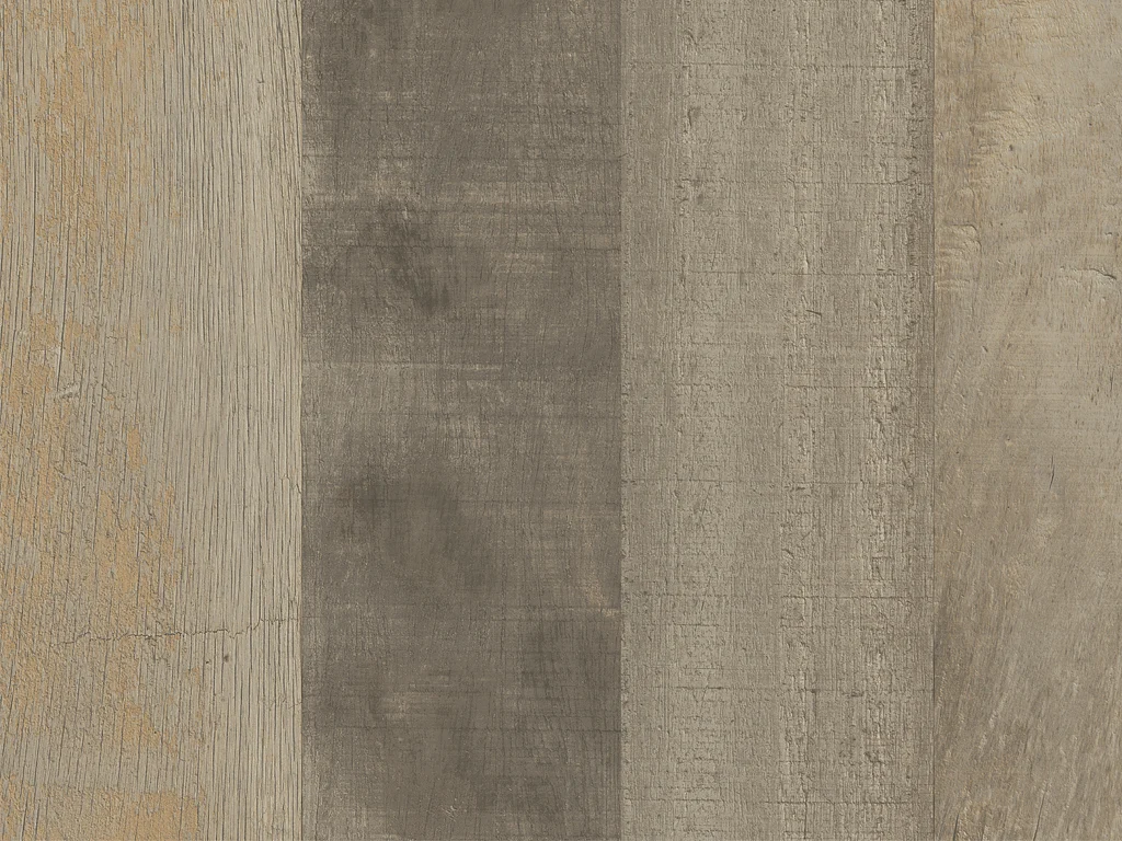 2156-d004