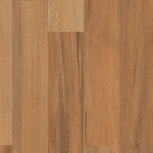 2176 – THAI TEAK