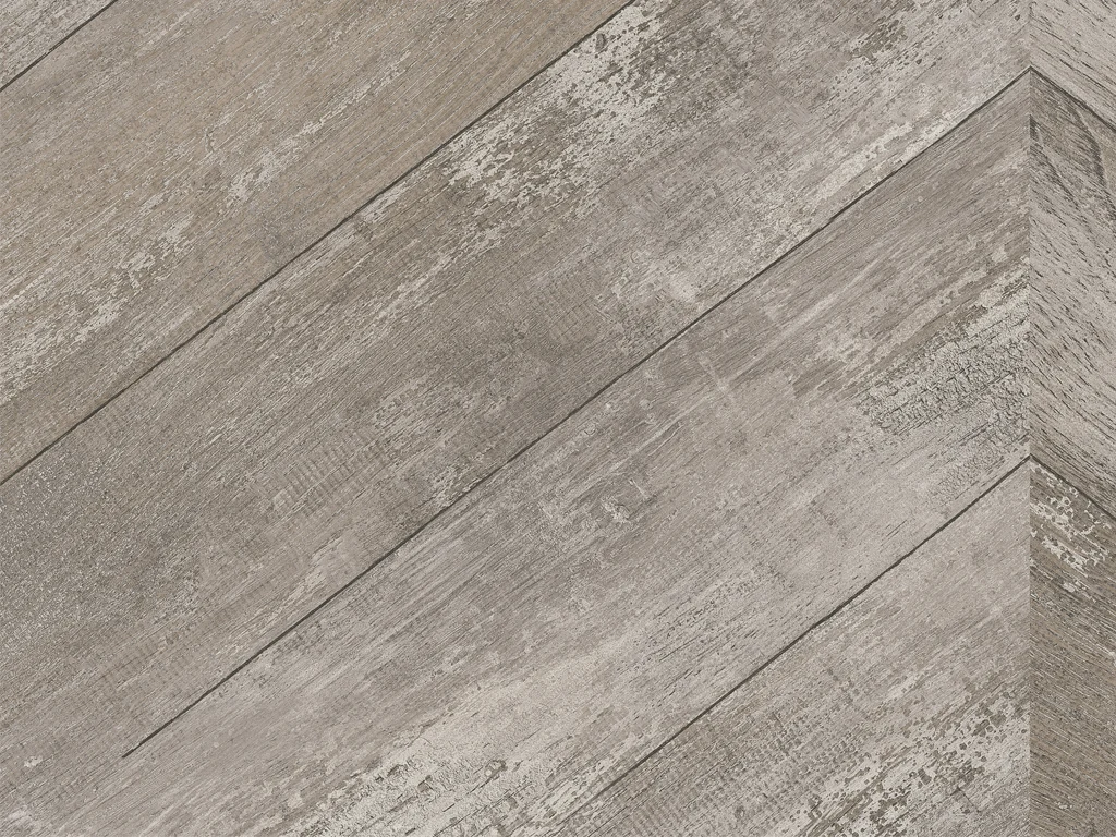 2191-d005