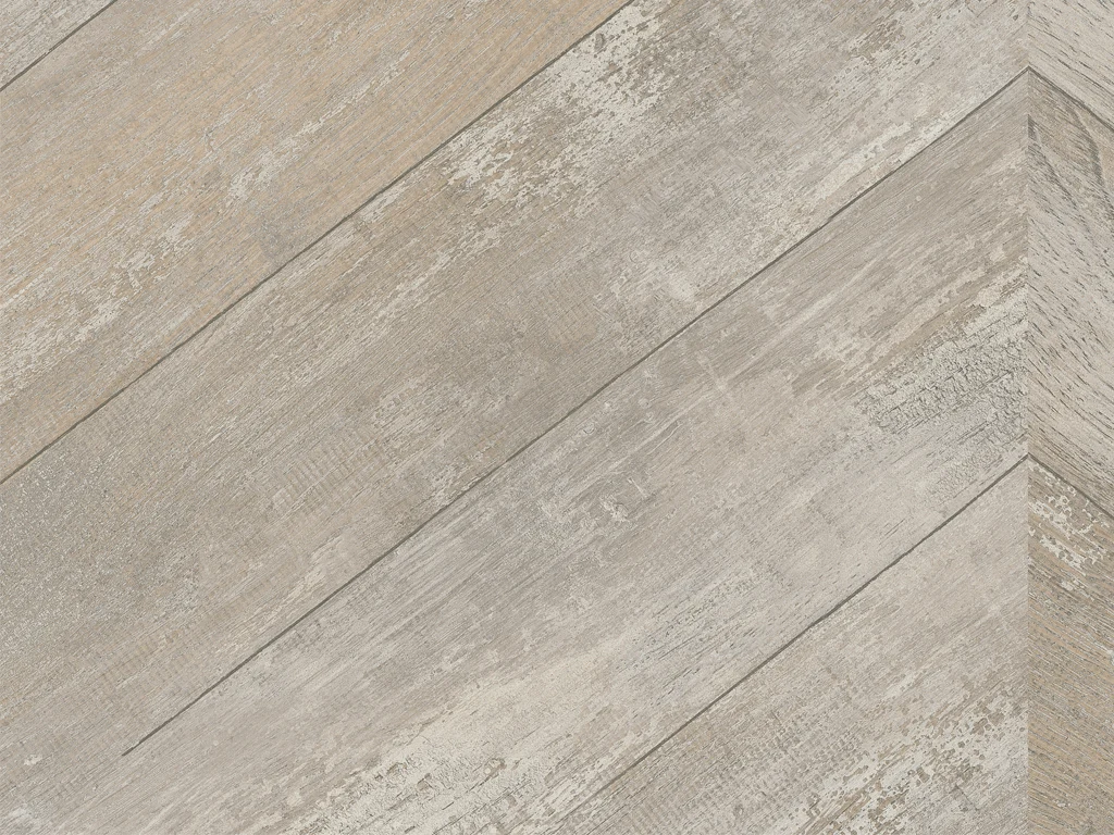 2191-d008