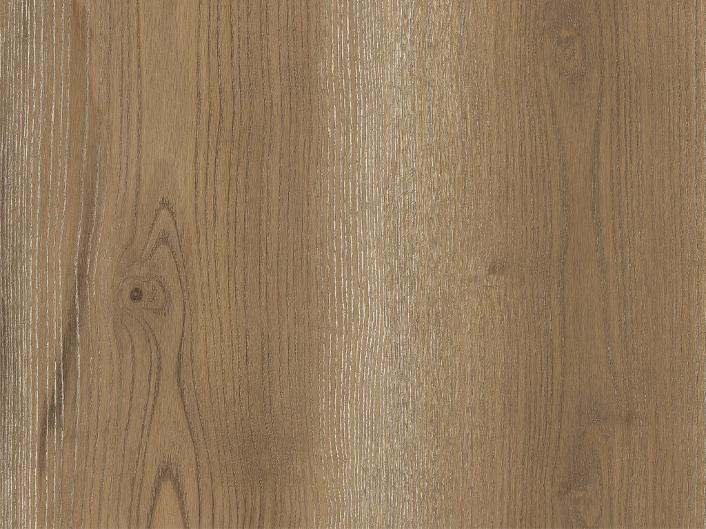 2193-d019