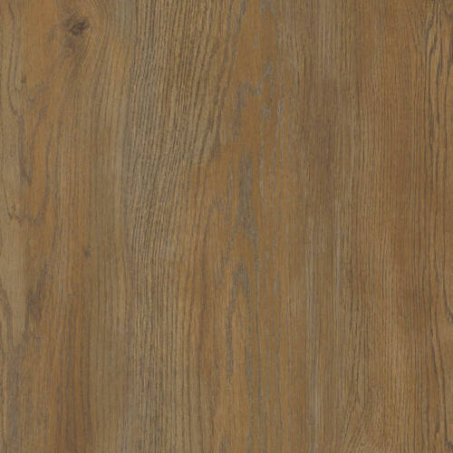 2242 – CHICAGO OAK