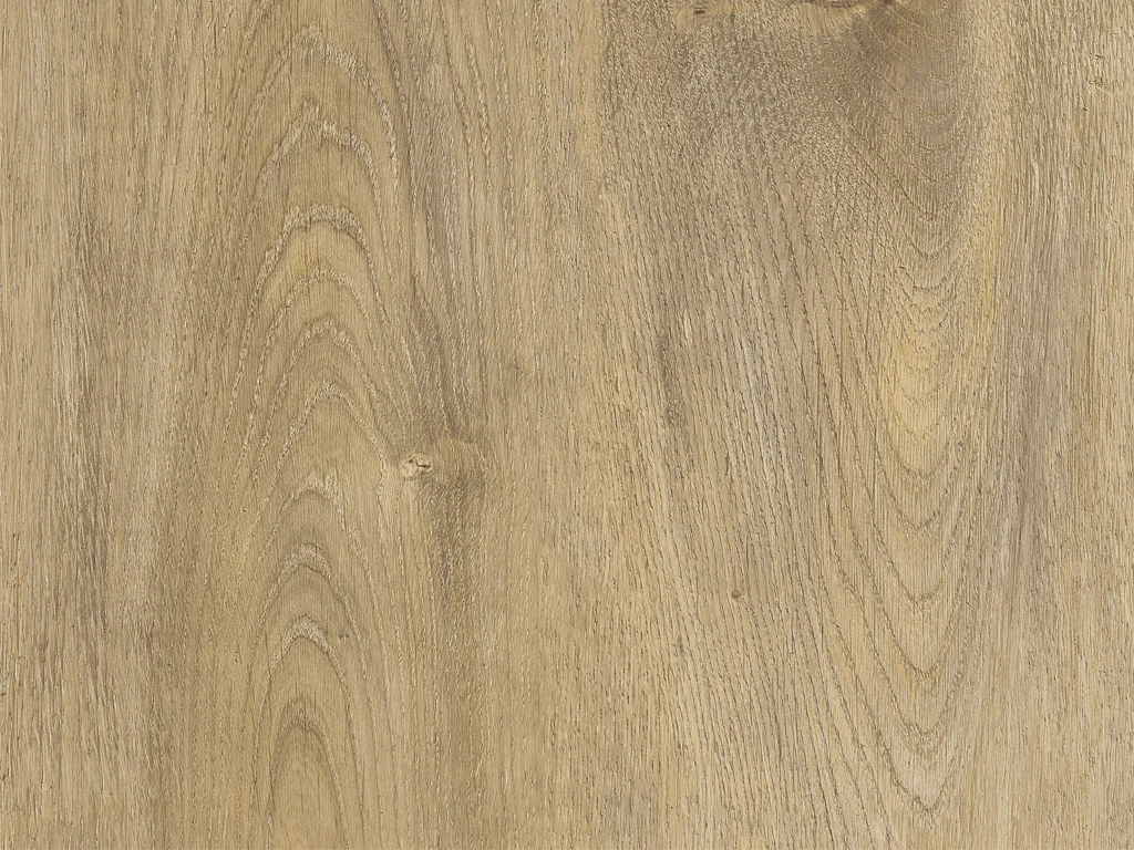 2298-d008