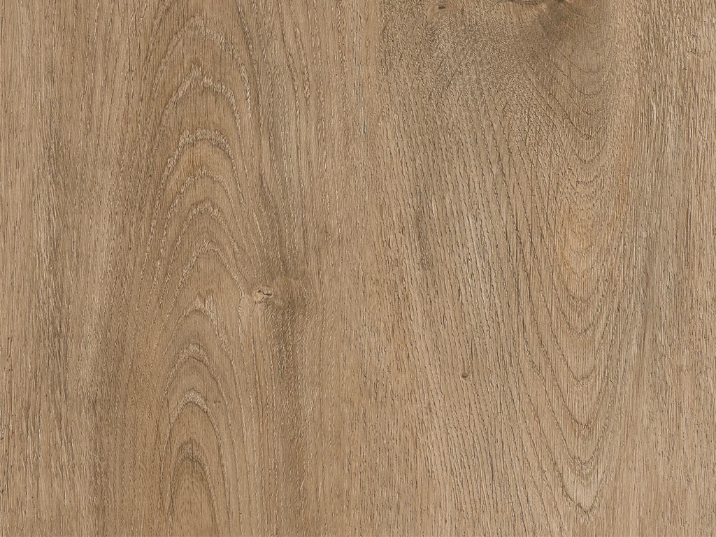 2298-d009