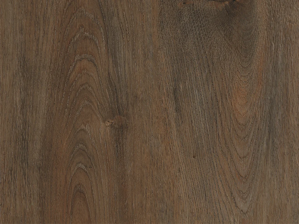 2298-d010