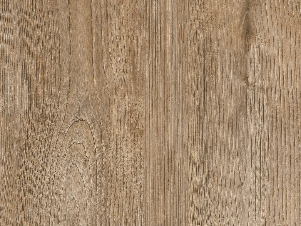 2325-d009