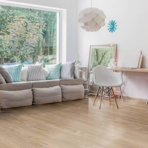 2325 – HIMALAYAS CHESTNUT