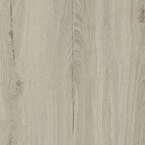 2332 – VINUS OAK