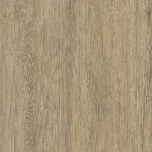 2345 – MERINO SYNCHRO OAK