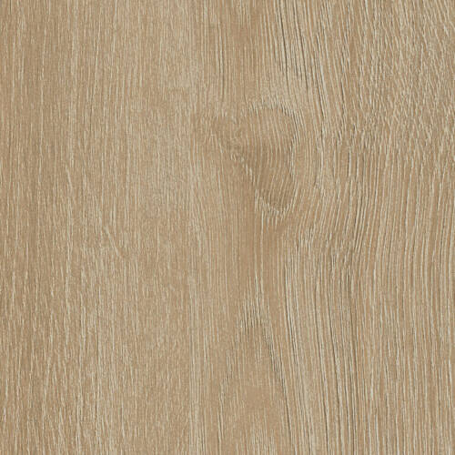 2354 – CALIPSO OAK