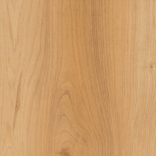 2377 – ORLEANS MAPLE