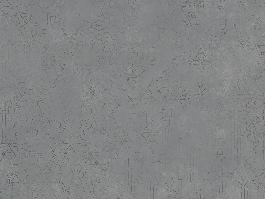 2392-d006