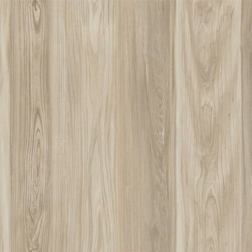 2394 – MADAGASCAR ELM