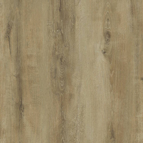 2412 – FROSTED OAK