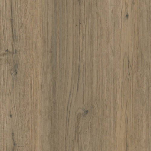 2413 – LIMONCELLO OAK