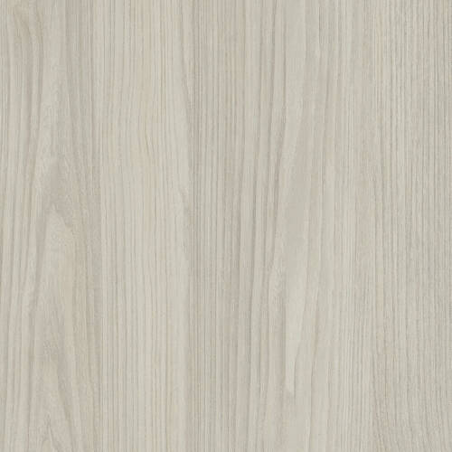 2425 – MISSOURI ELM