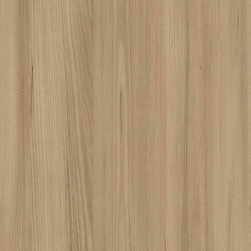 2480 – MAI ELM